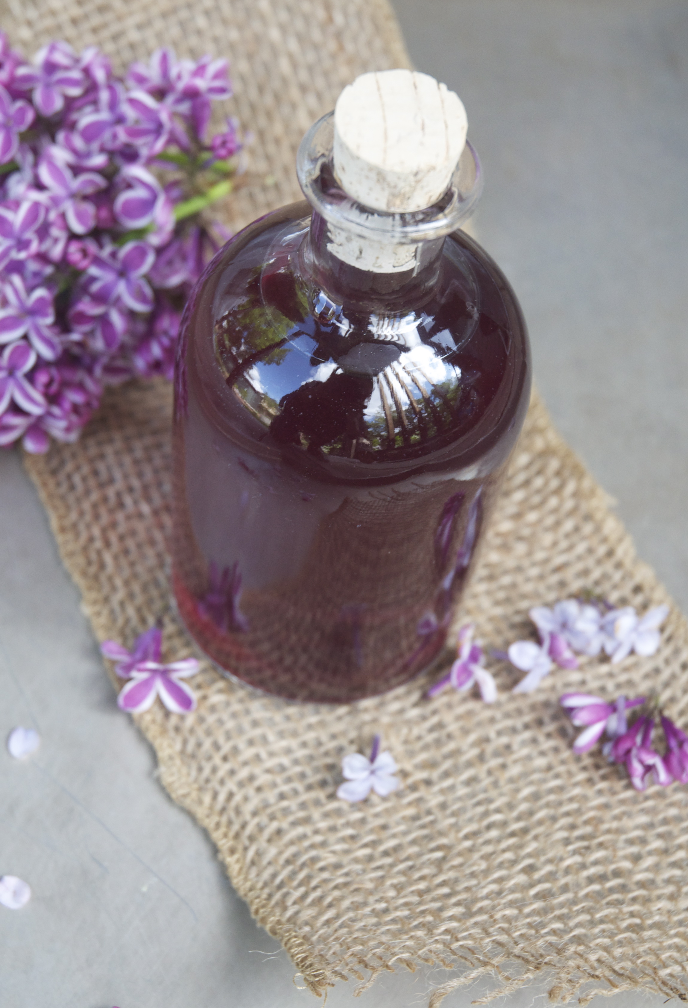 Znalezione obrazy dla zapytania Lilac flower syrup